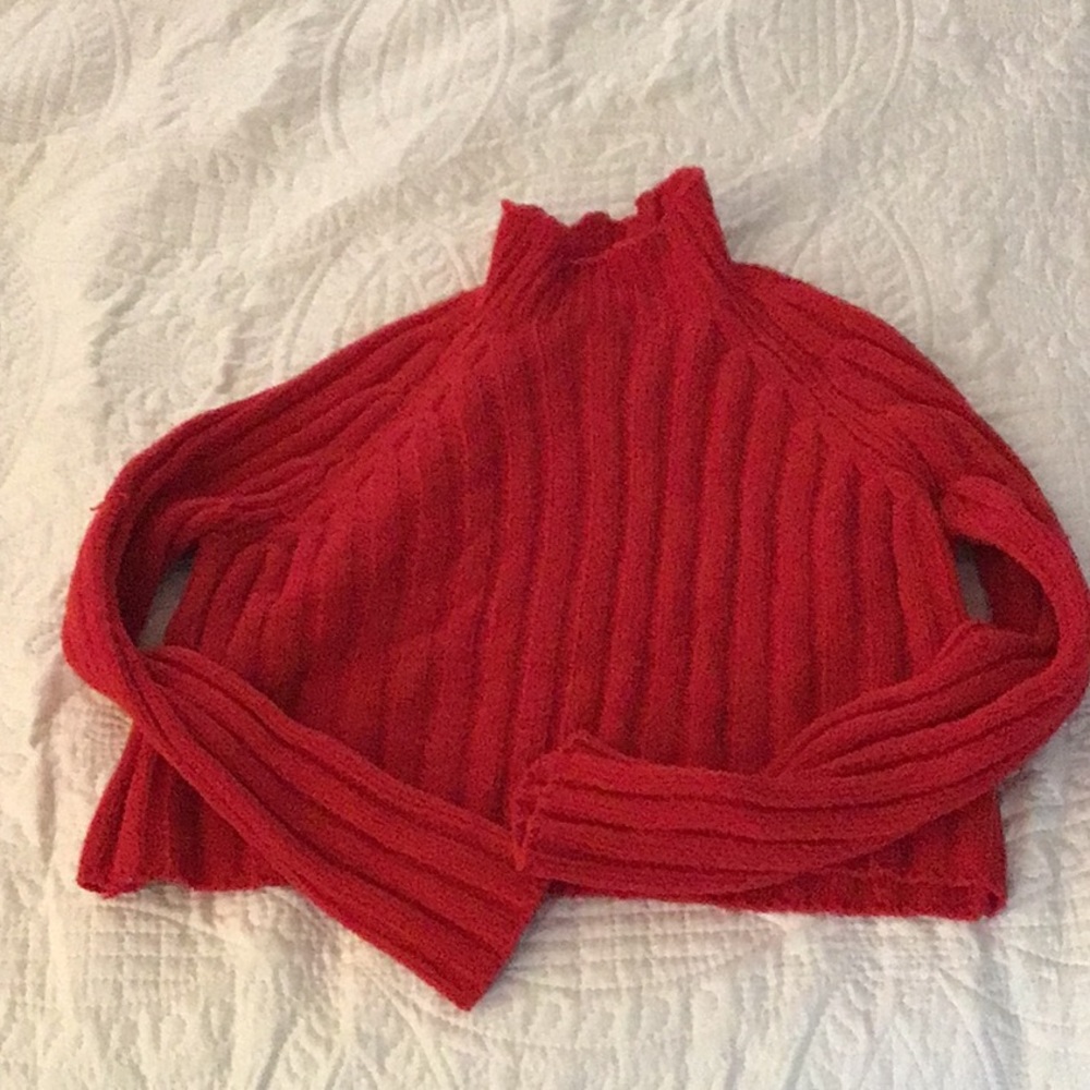 American Eagle Red Turtle Neck Sweater